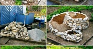 creative garden ideas