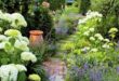 garden ideas long narrow