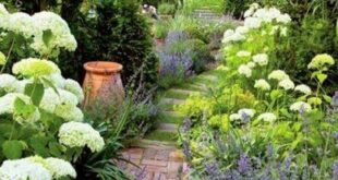 garden ideas long narrow