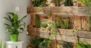 garden ideas diy