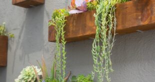 garden wall ideas