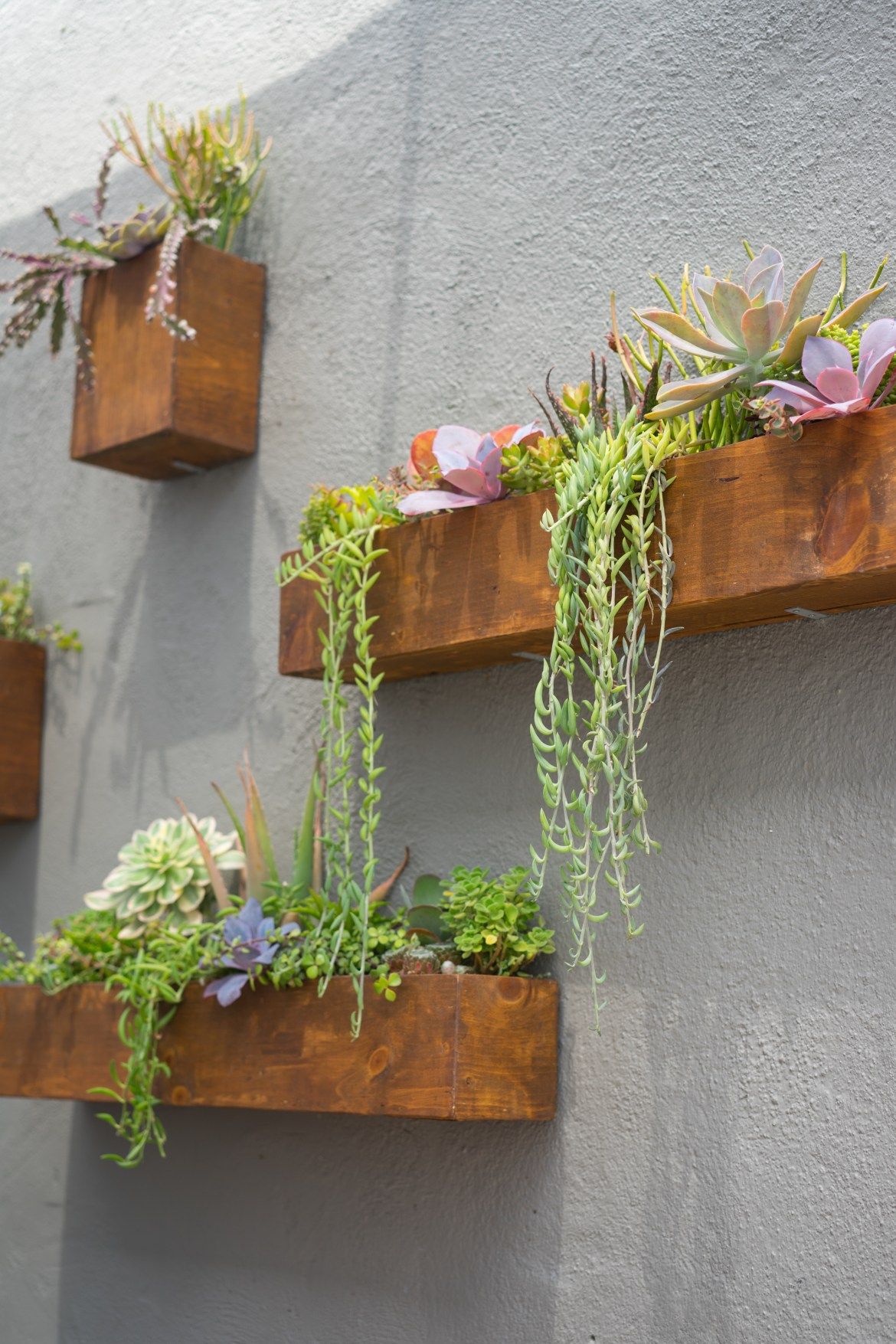 Innovative Garden Wall Designs to Transform Your Outdoor Space