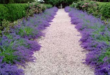 landscaping gravel ideas