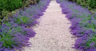 landscaping gravel ideas