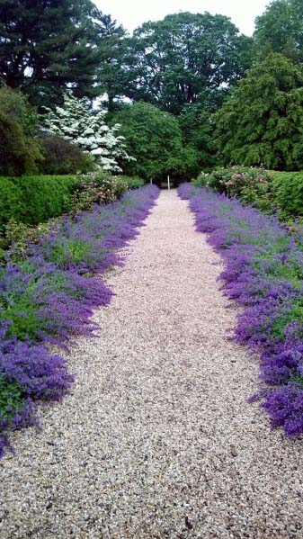 landscaping gravel ideas