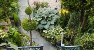 garden ideas long narrow