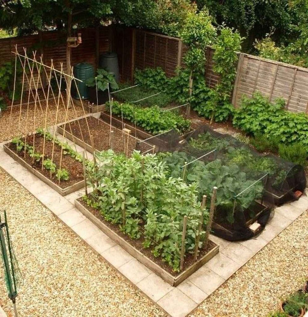 backyard vegetable garden ideas