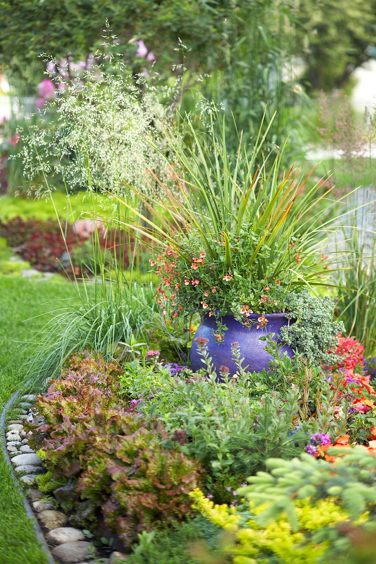 Innovative Ways to Create a Beautiful Garden on a Tight Budget