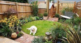 small garden ideas on a budget