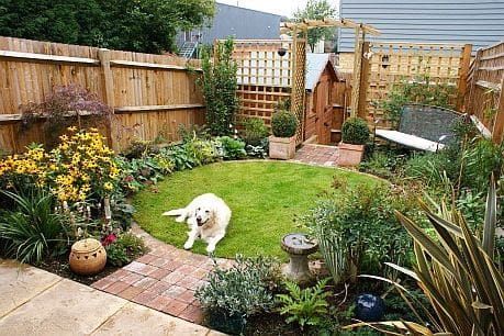 Innovative Ways to Create a Charming
Garden Without Breaking the Bank