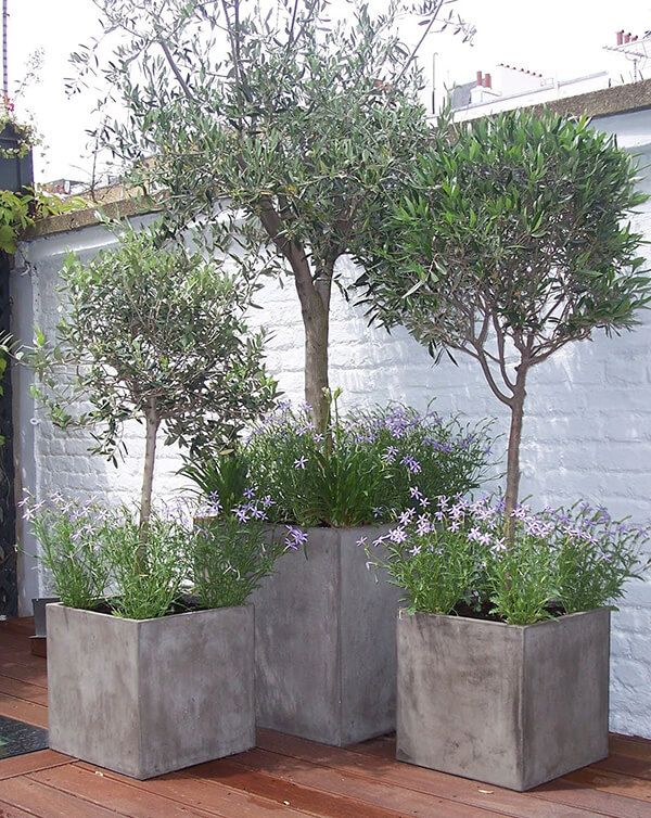 Innovative and Creative Garden Planter Ideas for Your Outdoor Space