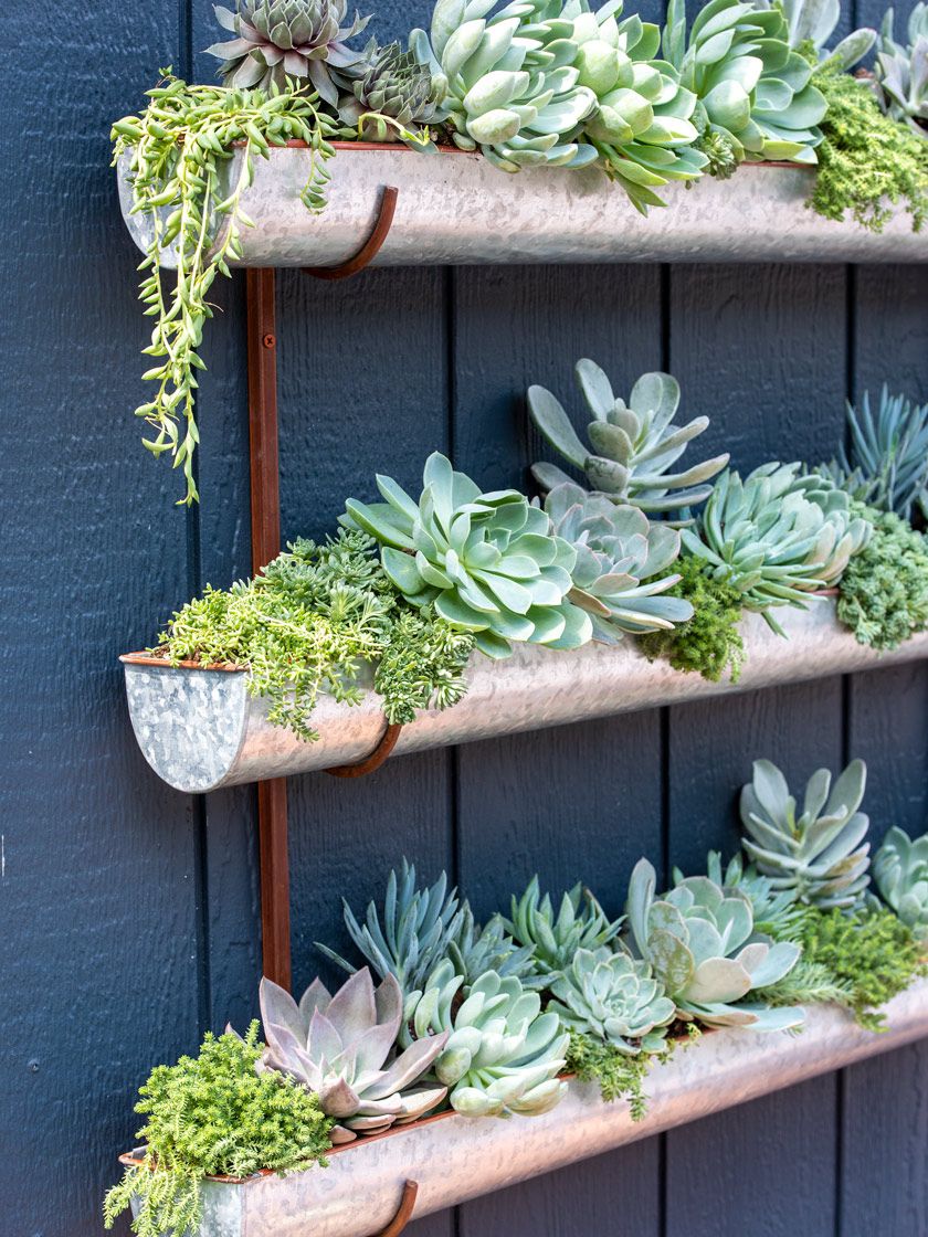 Inspiring Garden Wall Ideas for Your Outdoor Space