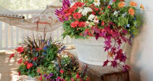 container gardening ideas