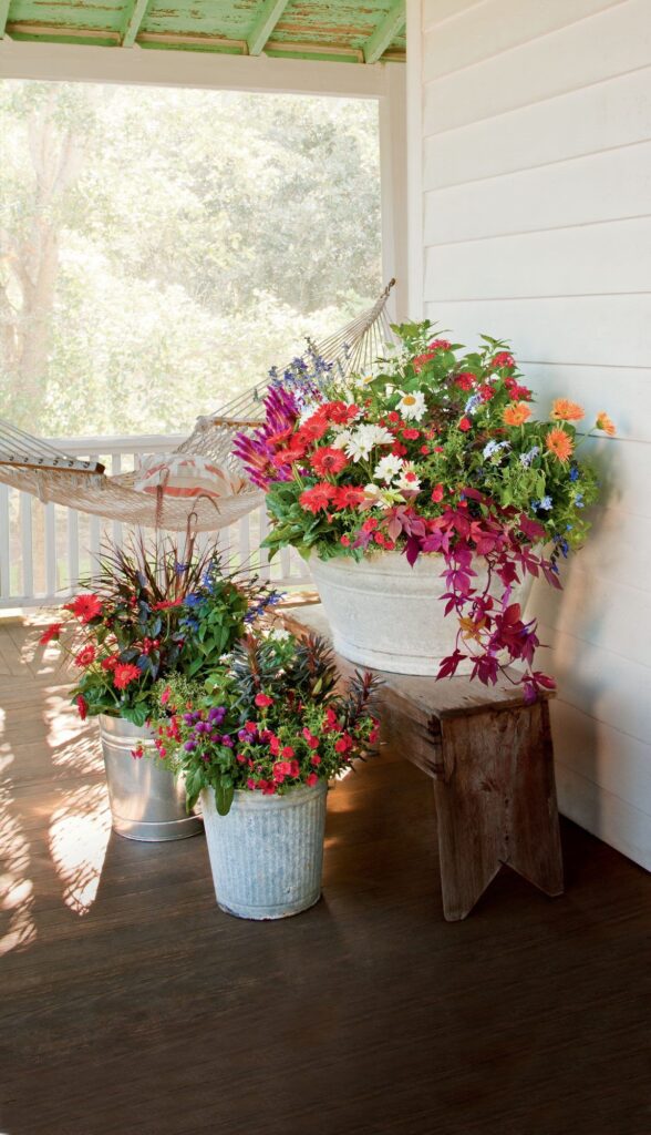 container gardening ideas