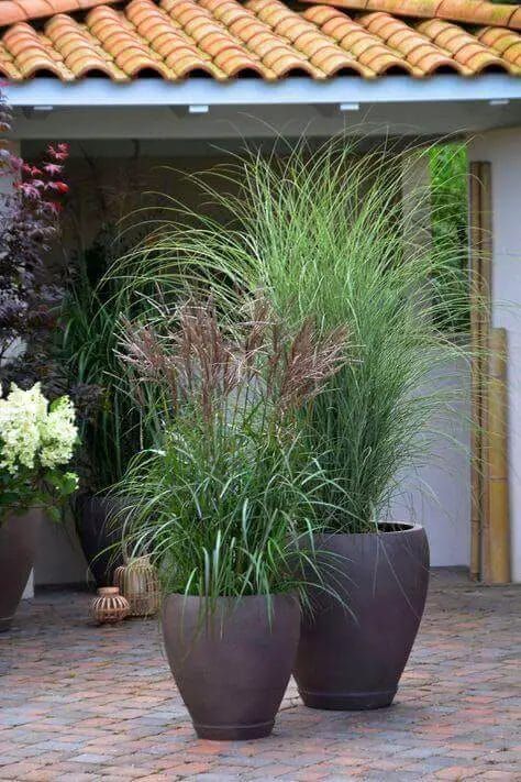 Lush Greenery: Unleashing the Potential of Garden Planter Troughs