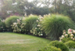 landscaping with ornamental grasses