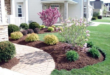 landscape ideas