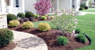 landscape ideas