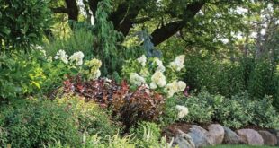 flower beds in front of house with rocks