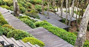 landscaping steps on a slope