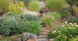 landscaping hillside