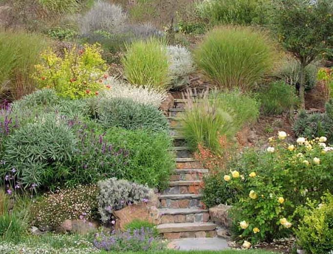 Mastering the Art of Landscaping a Sloping Terrain