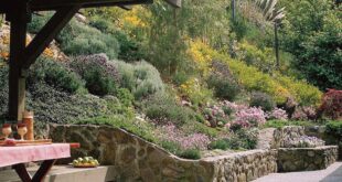 landscaping on a slope