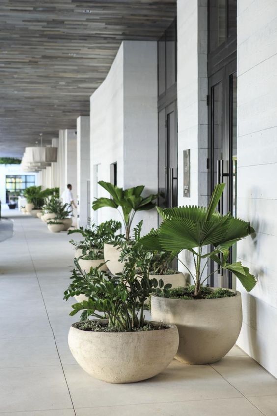 Maximize Your Green Space with Stylish Concrete Garden Planters