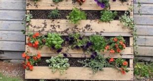 pallet raised garden bed