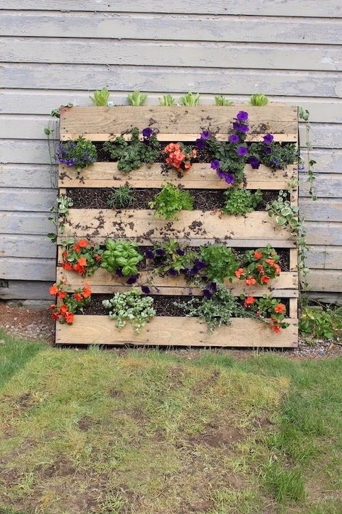 pallet raised garden bed