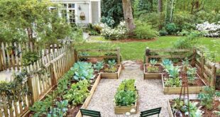 raised bed garden