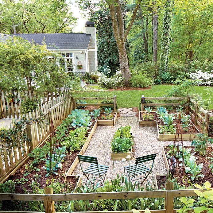 Maximizing Space: The Benefits of Raised Bed Gardening