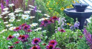 cottage landscaping