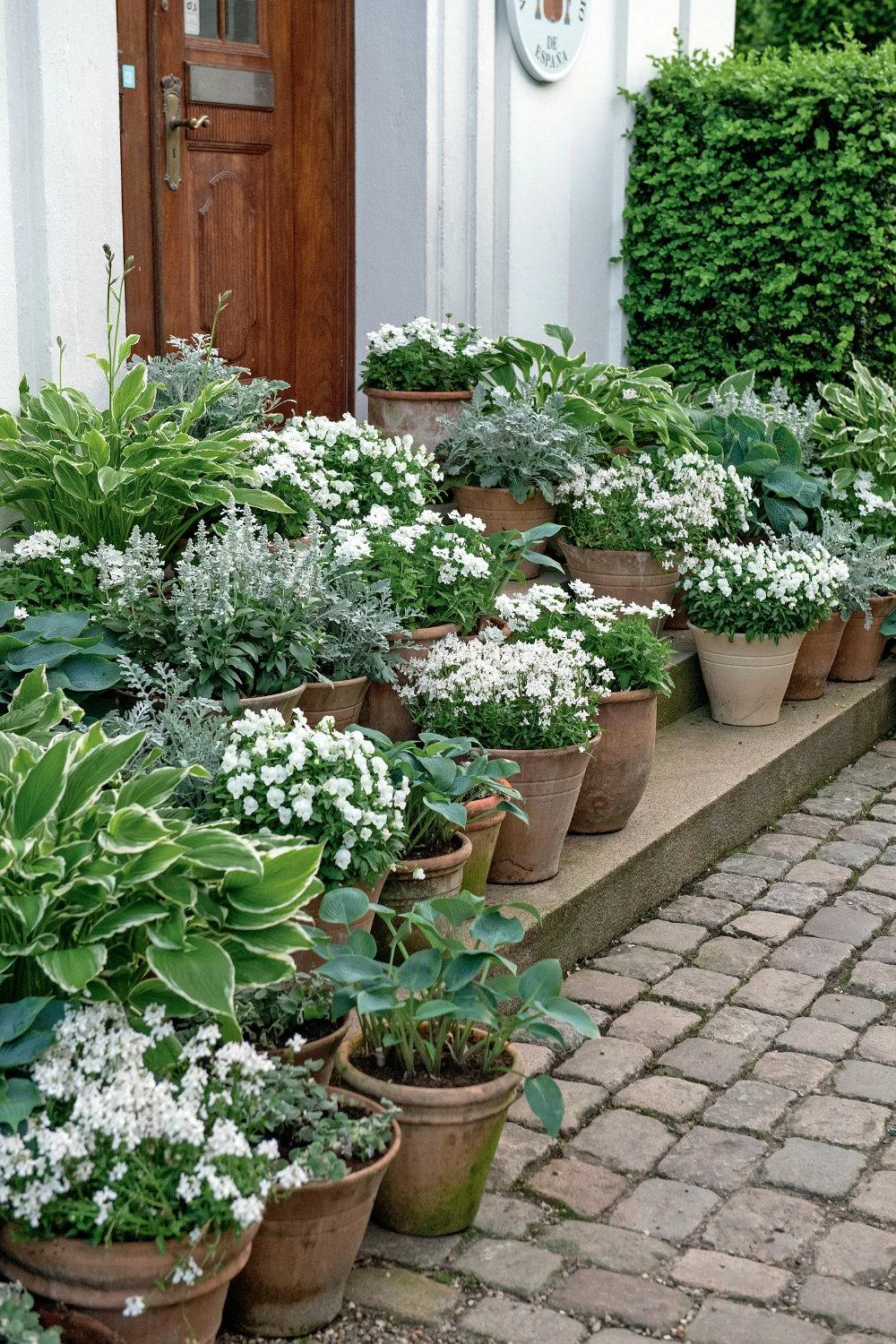 Optimal Containers for Your Garden Plants