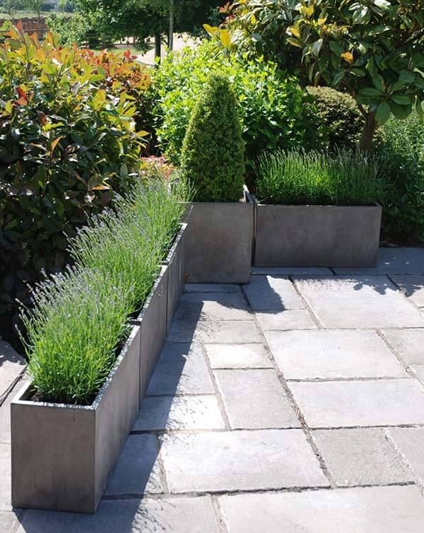 Optimal Gardening: How Trough Planters can Transform Your Outdoor Space