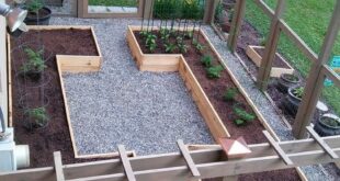 raised bed garden