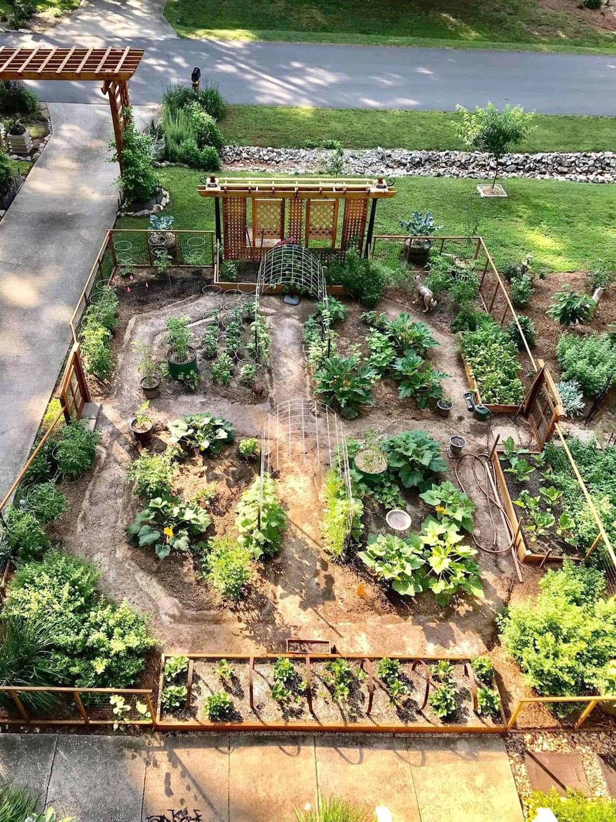 Optimal Vegetable Garden Design
Arrangement for Robust Plant Growth