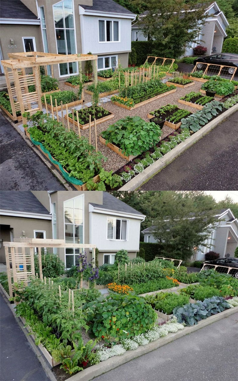 Optimal Vegetable Garden Design for Maximum Efficiency