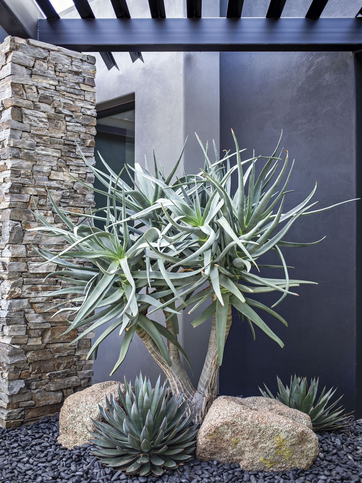 Optimal Water Conservation Through Xeriscape Landscaping