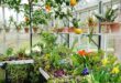 garden greenhouse