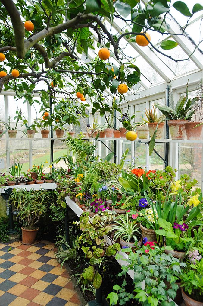 Optimizing Space and Growth: The Benefits of a Garden Greenhouse