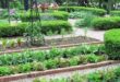 landscaping vegetable garden