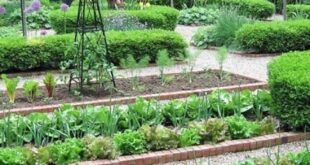 landscaping vegetable garden