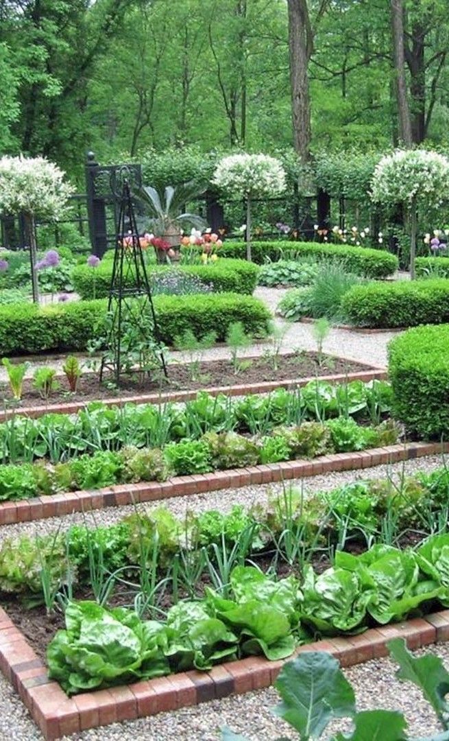 Perfecting Your Vegetable Garden Landscape