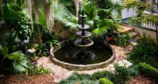 small garden with fountain