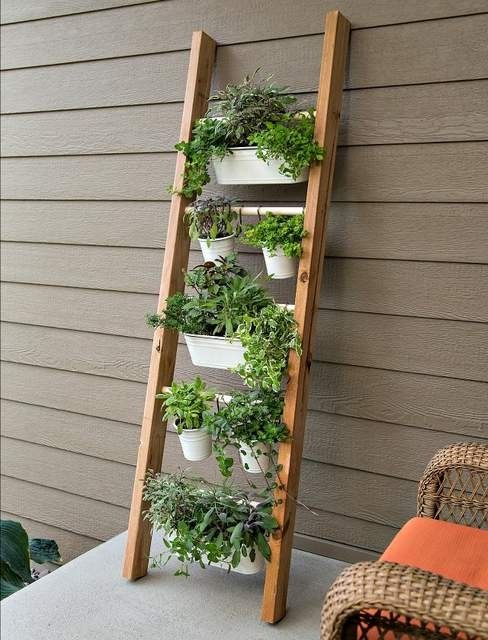 vertical gardening