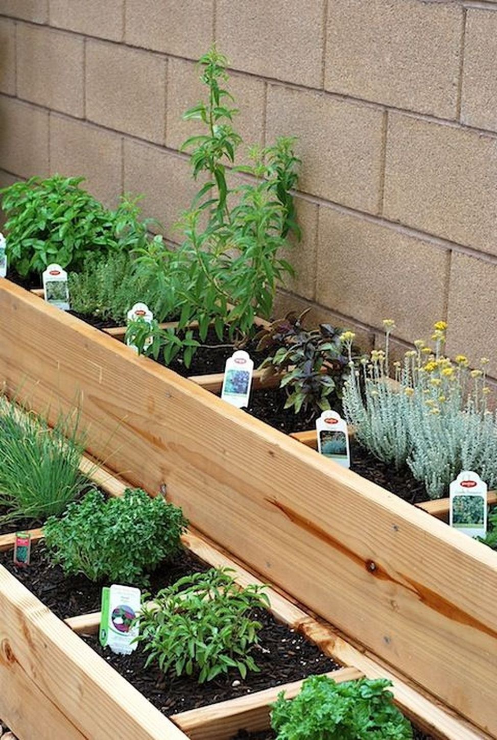 Revamp Your Outdoor Space with These Charming DIY Garden Projects