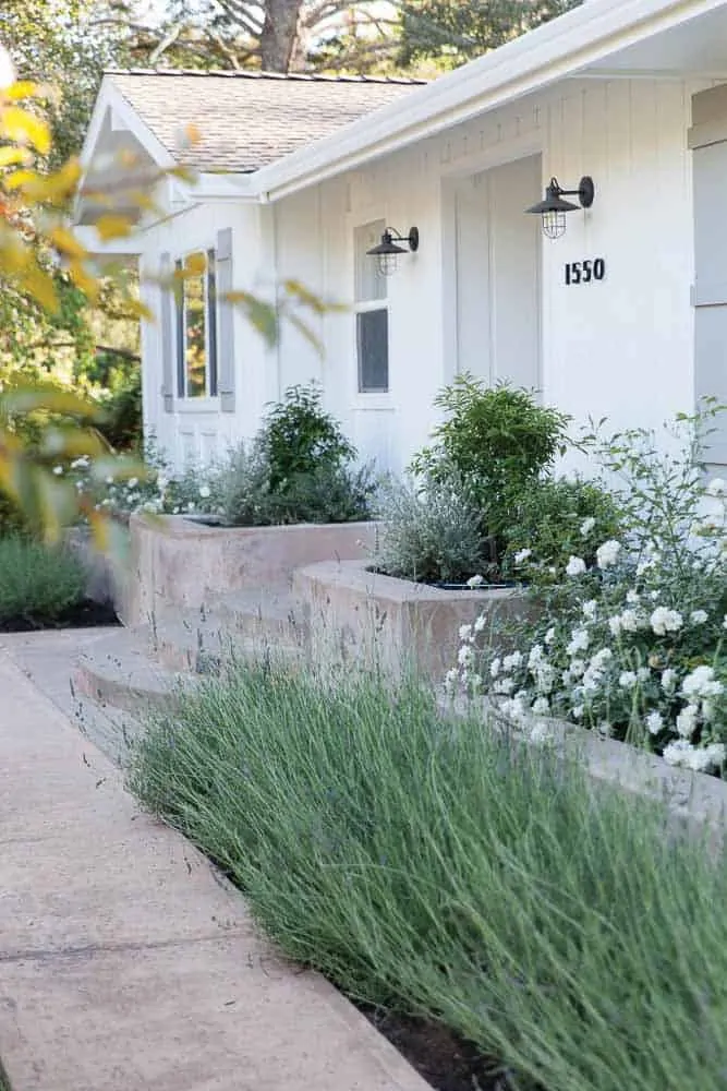 Reviving Charm: Modern Farmhouse Front Yard Landscaping Ideas