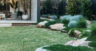 modern landscape design front yard