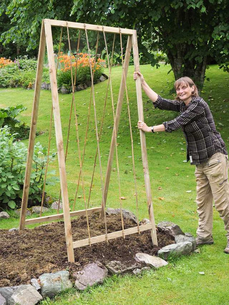 Simple Tips for Creating a Low-Maintenance Garden